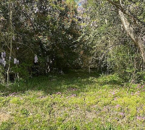 3rd image of 408 Mill Quarters Rd Lot 2