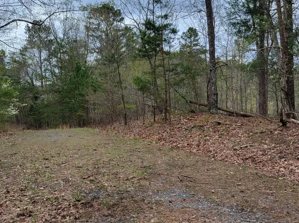 LOT 1717 Rebekah Rdg, Talking Rock, GA 30175