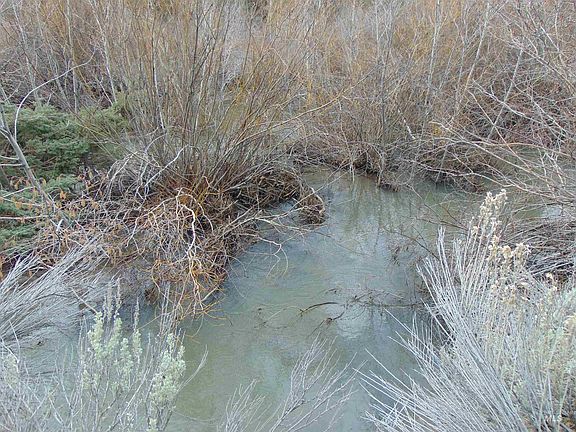 5th image of Rattlesnake Ln
