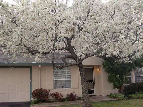 2nd image of 3813 Olivebranch Ln