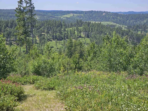 21167 Last Chance Ridge Rd, Deadwood, SD 57732