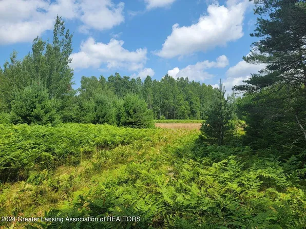 V/l W Northshore Dr, Lake City, MI 49651