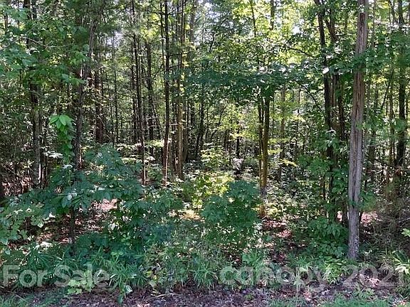 3rd image of LOT 41 Poplar Bluff Dr