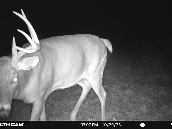 2nd image of N8438 9th Ave S