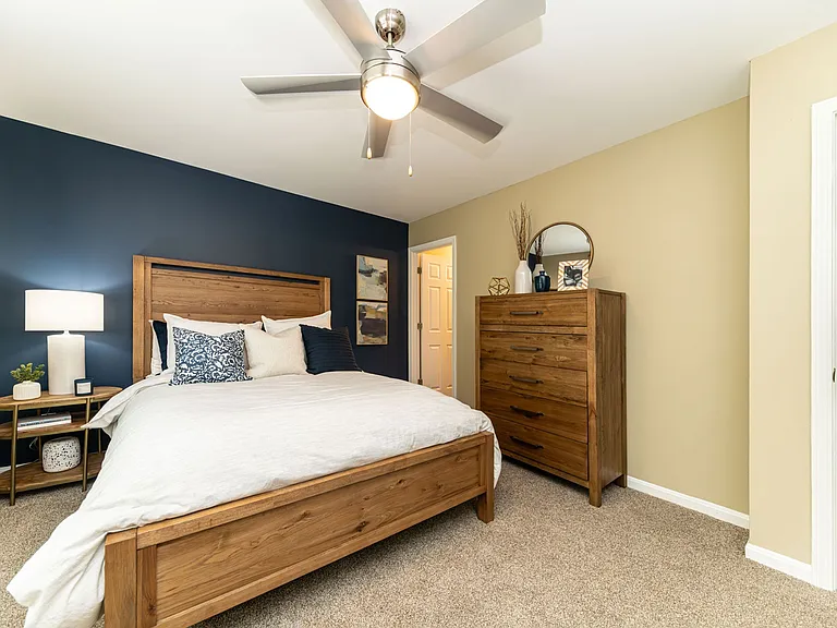 Cozy bedroom with carpet