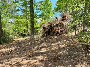 6103 Martin Heights Dr, Young Harris, GA 30582