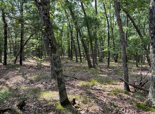 Par G S, Branch, MI 49402