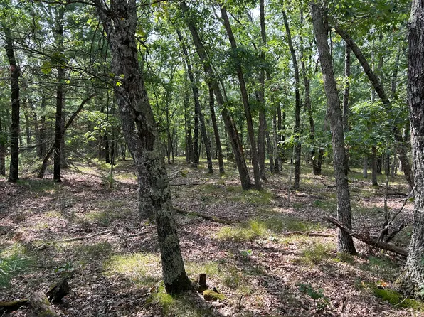 Par G S, Branch, MI 49402