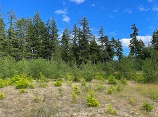 156 Whitney Rd, Quilcene, WA 98376