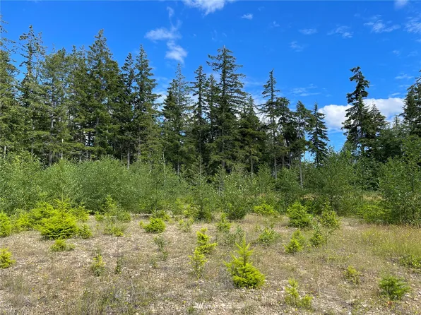 156 Whitney Road, Quilcene, WA 98376