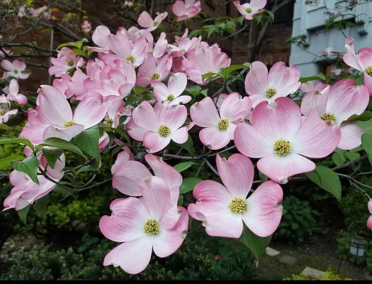 Rented by In The Heights Real Estate | media 3