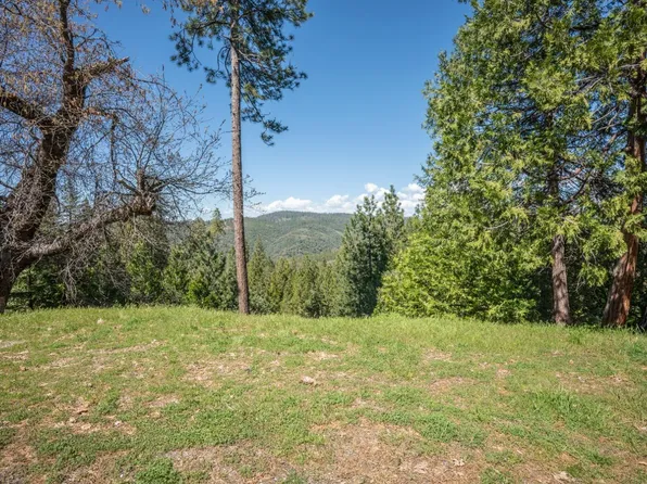 285 Snowberry Ct, Murphys, CA 95247