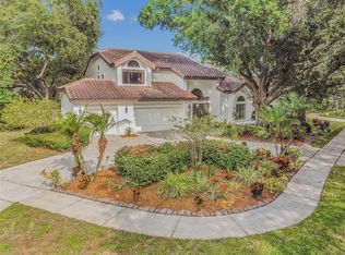 13901 Seaforth Manor Way, Tampa, FL 33613