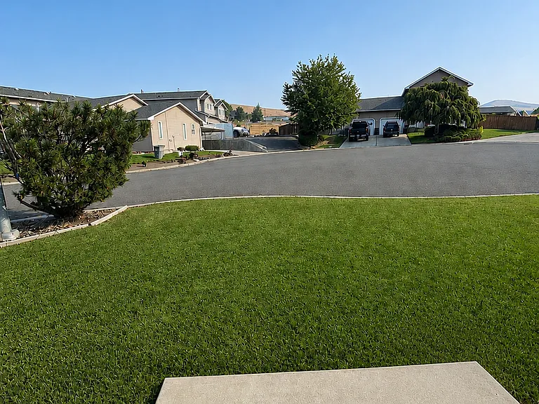 4227 Nola Loop Rd #B — Photo 13