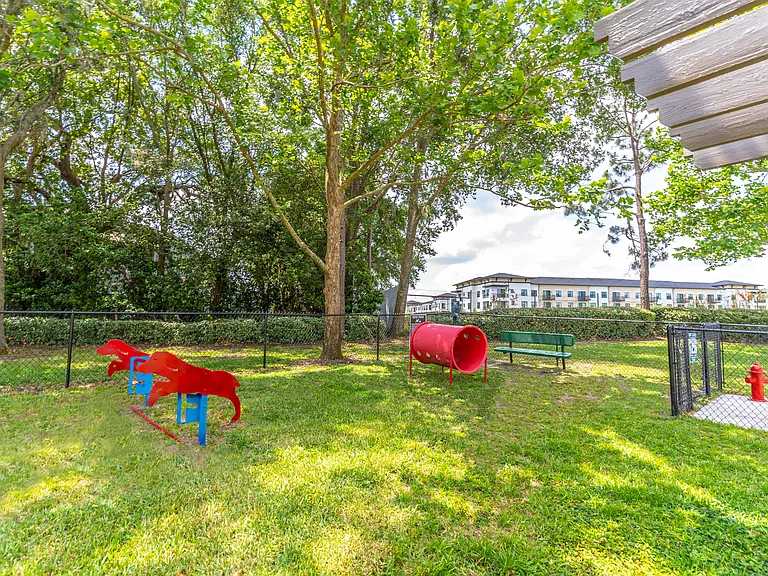Dog Park