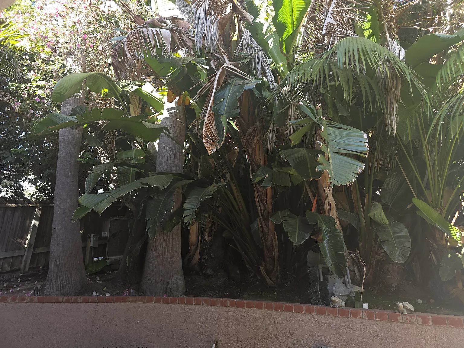 Studio, 500 sqft, $1,995 — Photo 2
