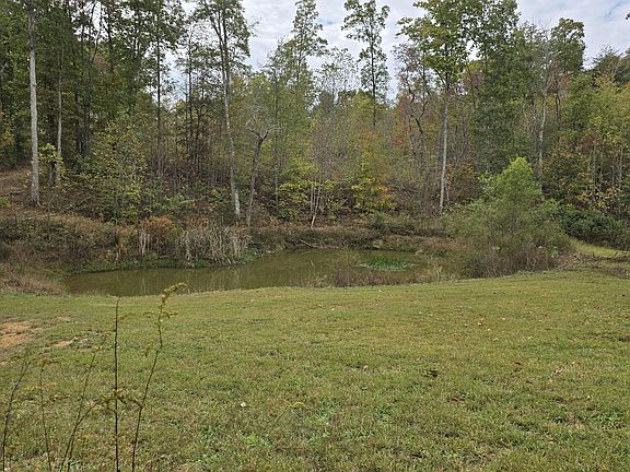 3rd image of 381 Grapevine Rd