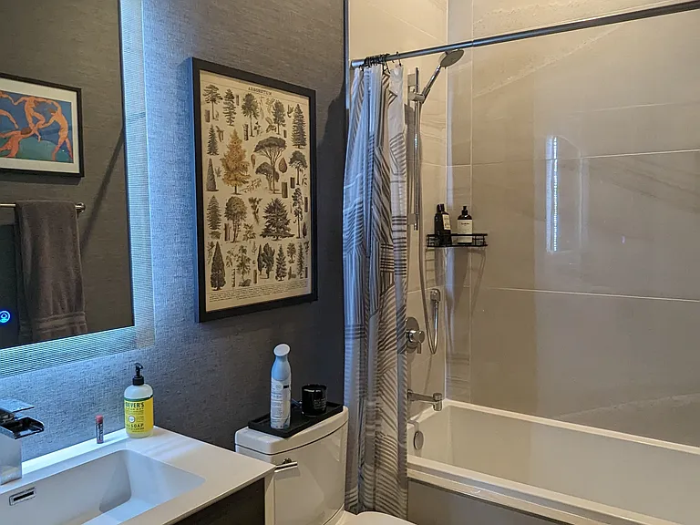 Guest bathroom