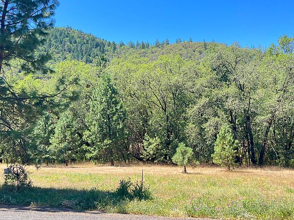 4th image of 4569 Kane Creek Rd