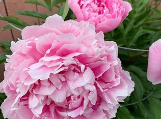 8821 McClellan Cir, Anchorage, AK 99502