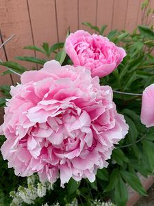 8821 McClellan Cir, Anchorage, AK, 99502