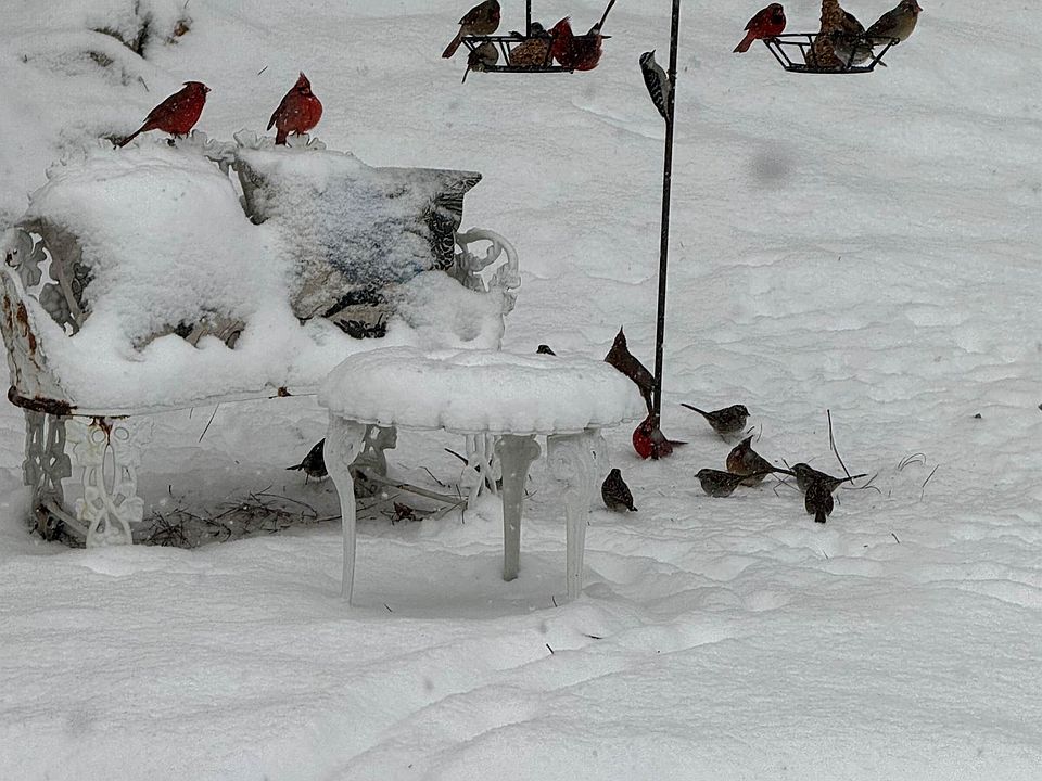 1st image of 3718 Club Rd