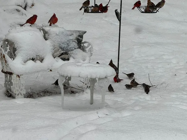 3718 Club Rd, Charlotte, NC 28205