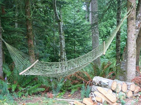 Side yard includes hammock for quiet afternoons