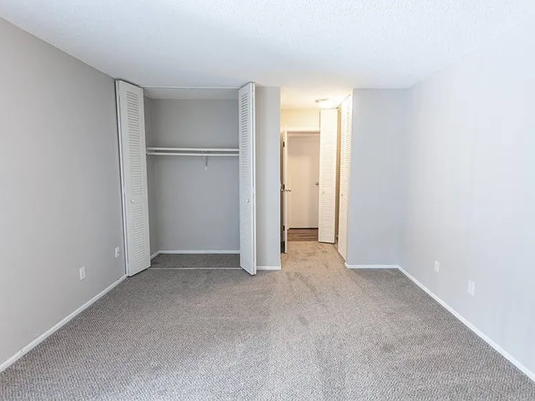Reno BR closet