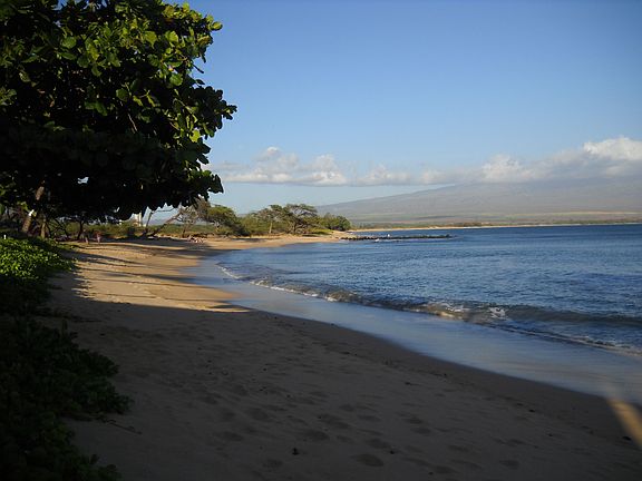 3rd image of 250 Hauoli St APT 307