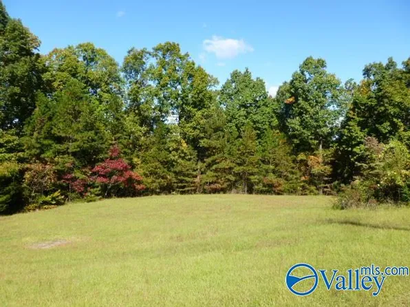 37.56 Happy Hill Cutoff Rd, Boaz, AL 35956