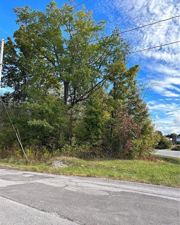 1st image of Birchwood Dr