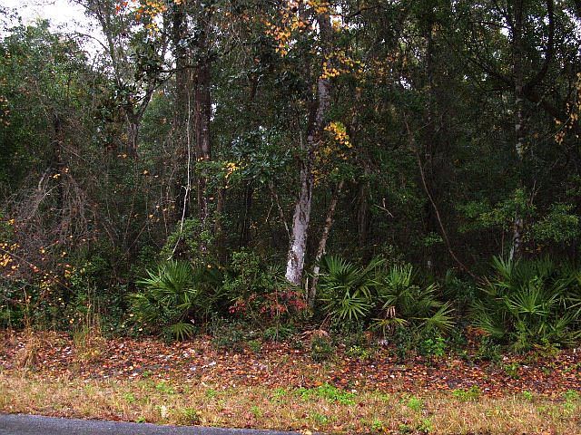 1st image of  SE 558th St