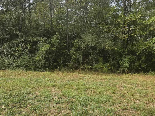 County Road 4091, Gary, TX 75643