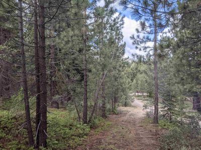 6118 Lake Davis Rd, Portola, CA, 96122