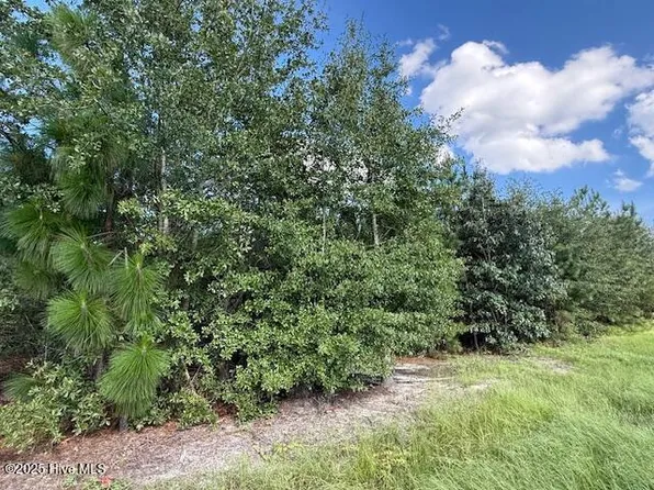 Tbd Johns Road, Laurinburg, NC 28352