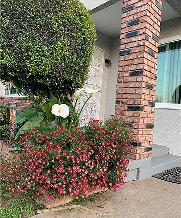 4th image of 3121 W Via Corona