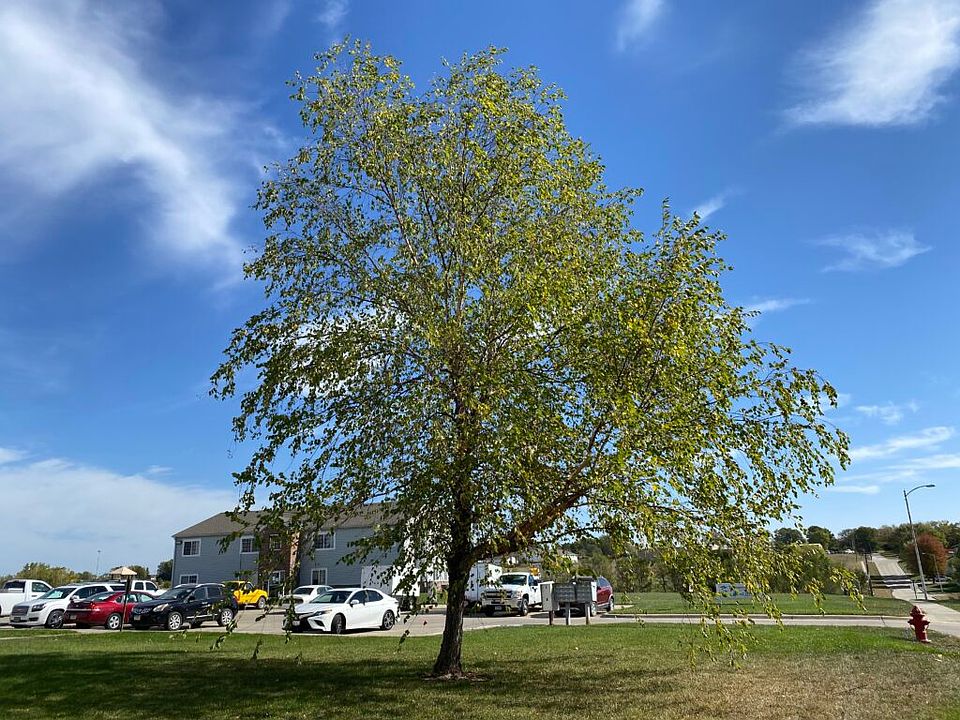 Tecumseh Place Apartments 950 Lincoln St Tecumseh NE Zillow