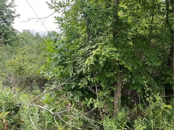 Monroe Ave #26, Angola, NY 14006