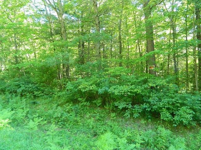 2nd image of 3 Peterson Rd