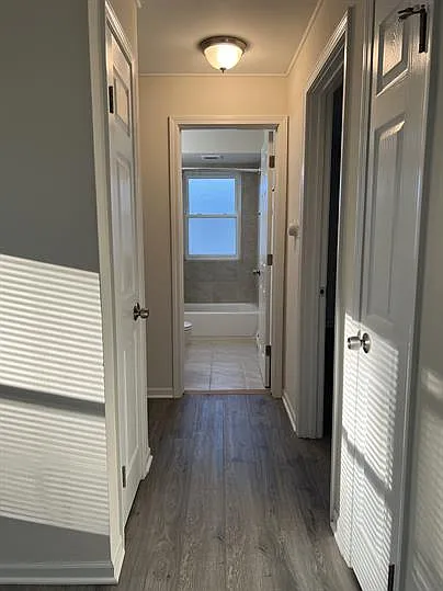 2 bed, 900 sqft, $1,650 — Photo 3