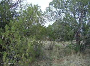 100 Juniper Woods #100, Ash Fork, AZ 86320