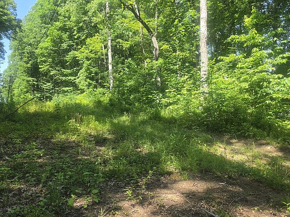 4th image of Tbd Forest Rd