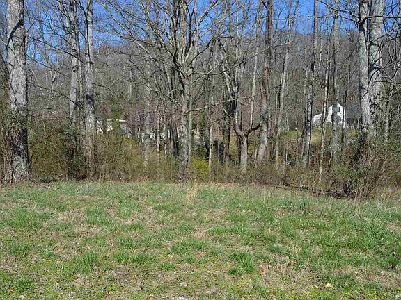 3rd image of Lots 1& 2 County Rd #321