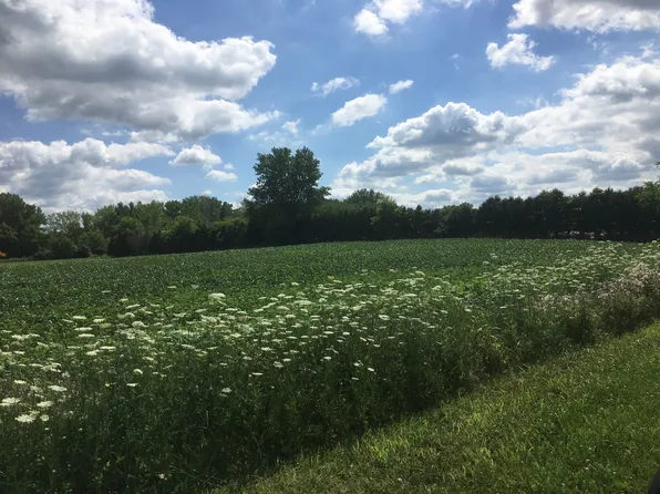 LOT 1 And Lot1a Koppie Rd, Gilberts, IL 60136