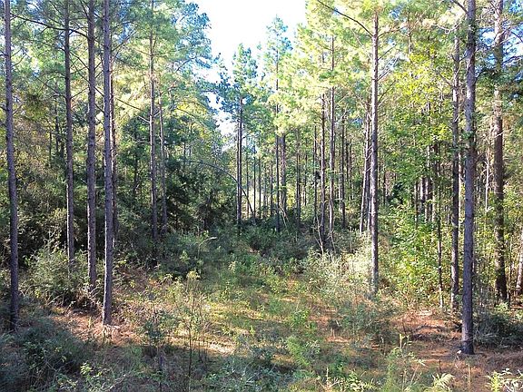 3rd image of County Road 2265