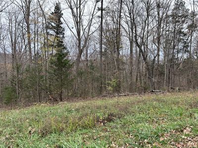 0 Cheyenne Dr LOT 17, Jamestown, TN, 38556