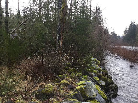 fortified stream bank