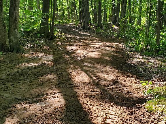 3rd image of 8204 Partridge Woods