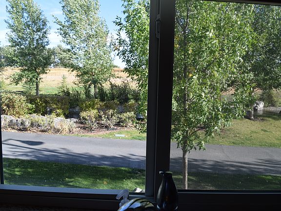 View from kitchen window